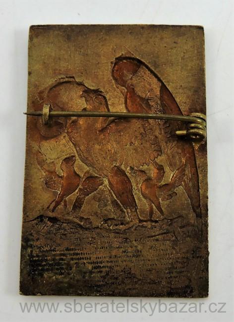 Odznak Ustí n. Labem 1934 Krajský slet Sokolský