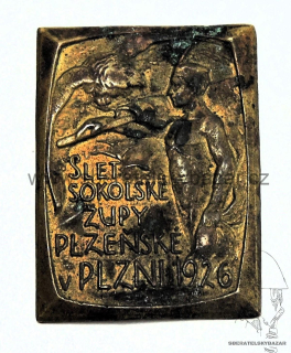 Slet sokolské župy Plzeňské v Plzni 1926  - poškozený