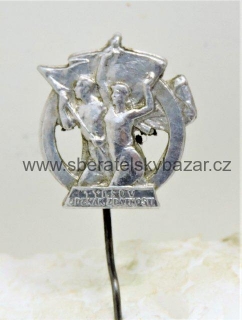 Tyršův odznak zdatnosti miniatura Hliník na jehlu 