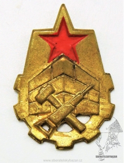 Rozlšiovací znak ČSLA - PTP 